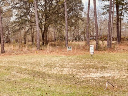 235 Morgan Farm Drive, Leesburg