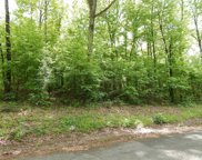 Lots 30 & 31 Little Dunham, Heber Springs image
