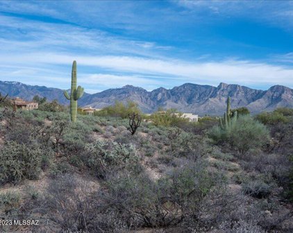 12565 N Vistoso View Unit #-, Oro Valley