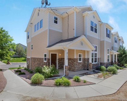 2152 Squawbush Ridge Grove, Colorado Springs