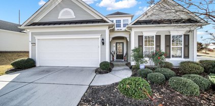 4029 Twiddy  Street, Indian Land