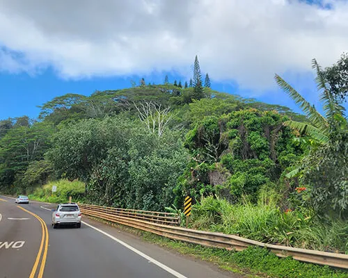 Kalaheo Real Estate