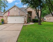 20319 Water Point Trail, Humble image