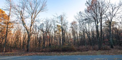 Lot 181 Rockwood Trl, Winchester