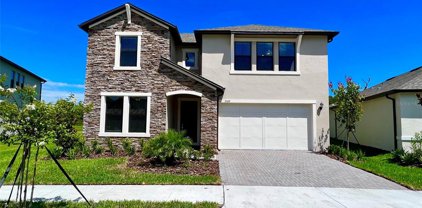21622 Violet Periwinkle Drive, Land O' Lakes