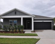 17688 Passionflower Circle, Clermont image
