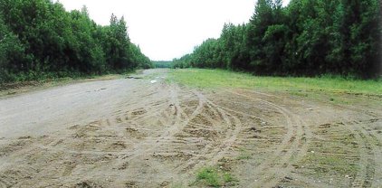 51452 S Parks Highway, Talkeetna