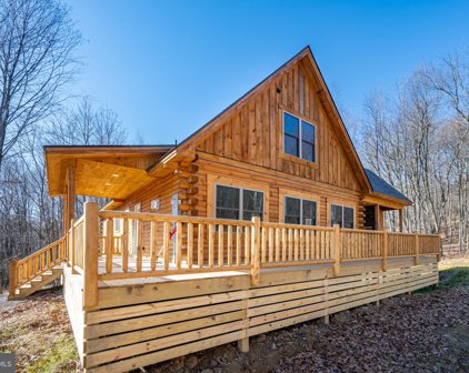 118 Black Diamond Ct, Mc Henry