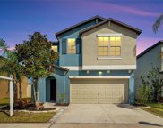 4247 Unbridled Song Drive, Sun City Center image