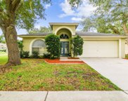 4635 Preston Woods Drive, Valrico image