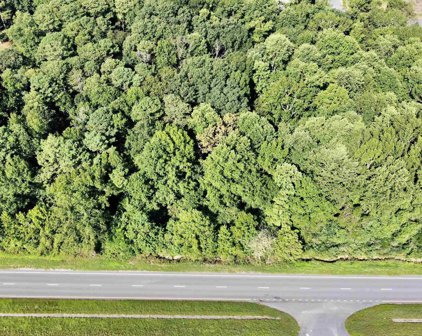 Acreage on Us Hwy 231, Arab