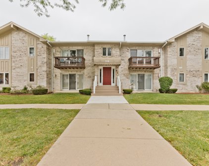918 Rogers Street Unit #202, Downers Grove