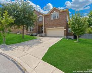 1435 Mesa Crk, San Antonio image