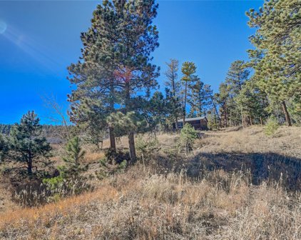 10811 Highway 73 Place, Conifer