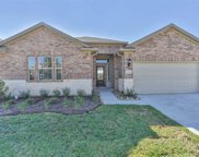 16110 Kildeer Point Drive, Hockley image