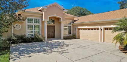 1620 Brilliant Cut Way, Valrico