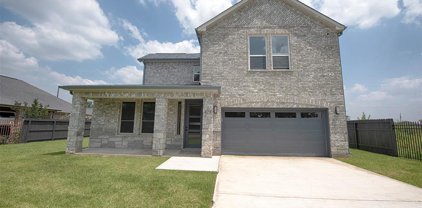 419 Pinedale Avenue, Rosharon
