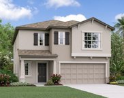 9967 Branching Ship Trace, Wesley Chapel image