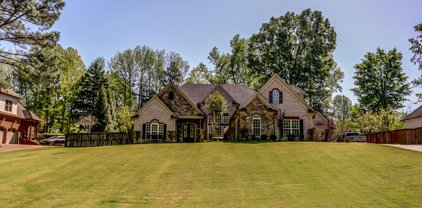 4238 W Dickens Pl Drive, Southaven