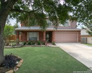 1020 Lion King, San Antonio image