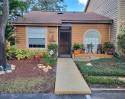 5307 Rollinsford Court, Tampa image
