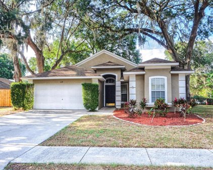 529 Valencia Park Drive, Seffner