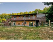 25817 NE C C LANDON RD, Yacolt image