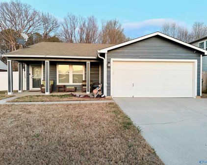 119 Bumper Crop Lane Nw, Madison