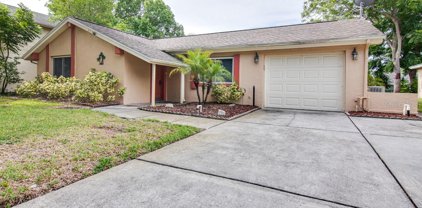 8312 Mill Creek Lane, Hudson