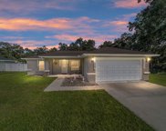 13589 Se 100th Avenue, Belleview image