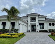 17392 Blue Sapphire  Drive, Fort Myers image