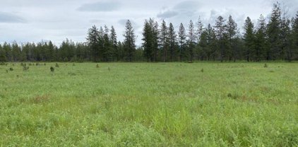 NNA Yellow Pine, Athol