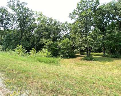 Lot 8 SE 265 Road, Knob Noster