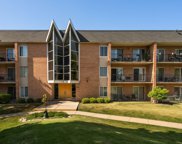 1104 N Mill Street Unit #2-204, Naperville image