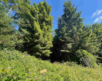 Lot 29 Bell Hole, Crescent City