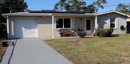 4713 Foothill Drive, Holiday