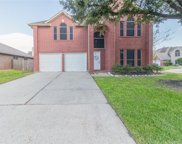 223 Wentworth Park Drive, Houston image