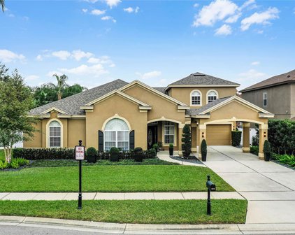 602 Chester Pines Court, Ocoee
