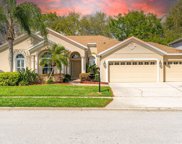 5114 Whispering Leaf Trail, Valrico image