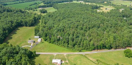 515 Horseshoe Point  Rd, Henry