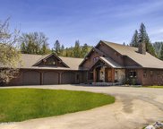 1517 Otts Basin, Sagle image