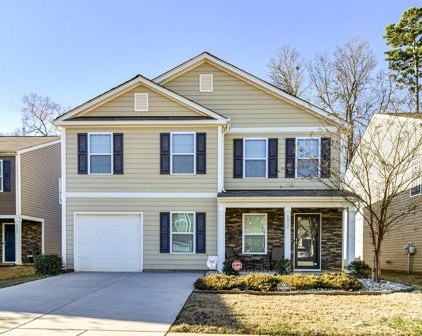 6716 Broad Valley  Court, Charlotte