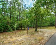 681 Edisto Lake Road, Wagener image