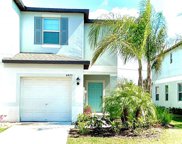 4425 Globe Thistle Drive, Tampa image