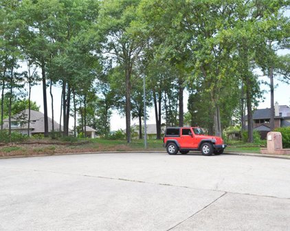 3814 Vail Court, Montgomery