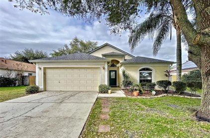24353 Rolling View Court, Lutz
