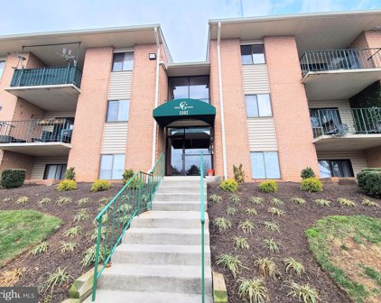 1102 Lisadale Circle Unit #3B, Baltimore