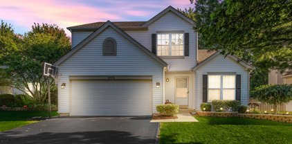 1773 Hawthorne Court, Romeoville