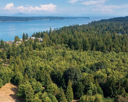 Geronimo Lane, Camano Island