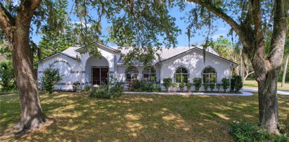 2627 Needle Palm Drive, Edgewater